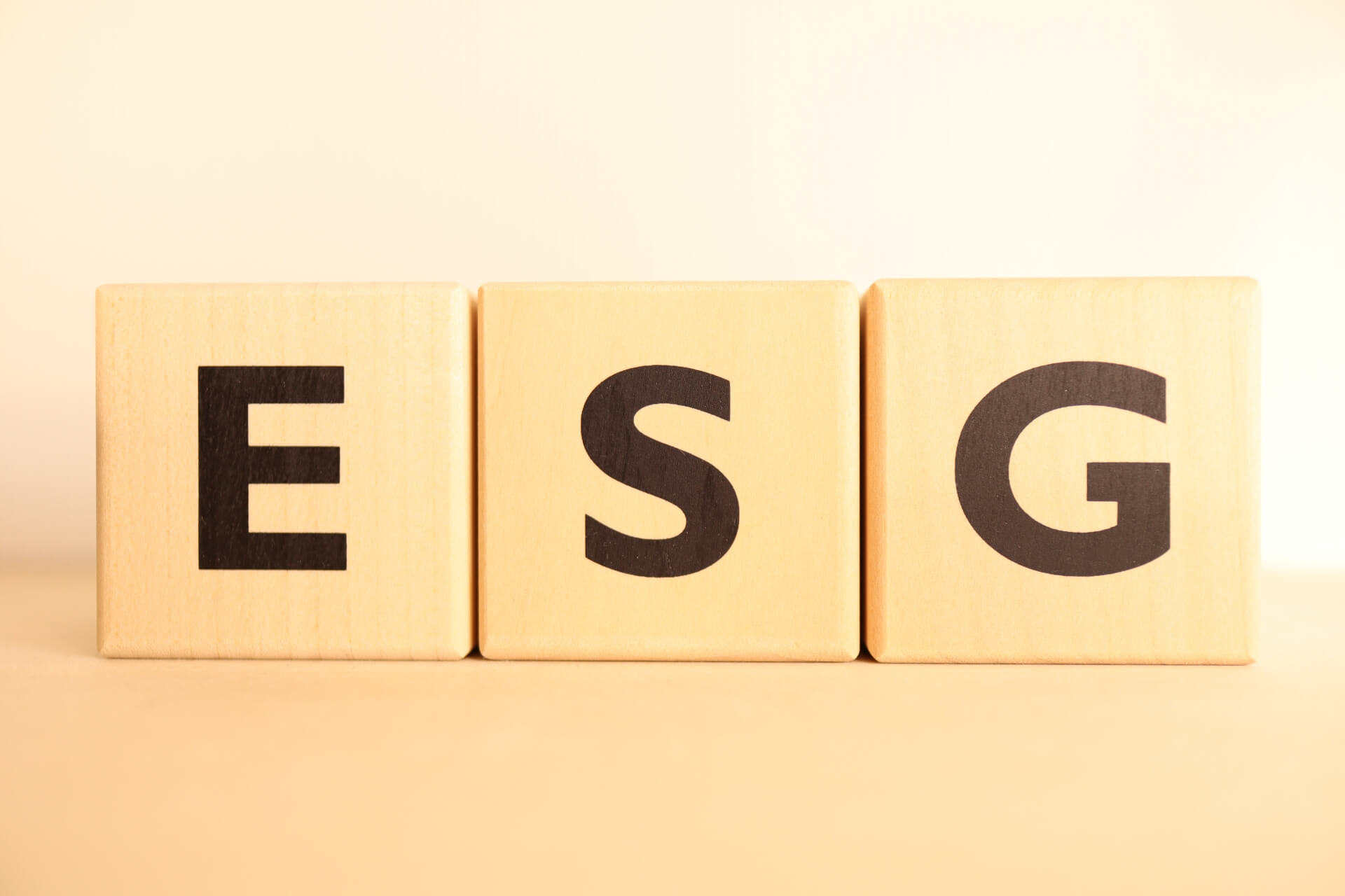 ESGの重要性を示すブロック